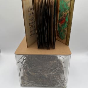 BIRD'S BUSY by Phyllis Brody 