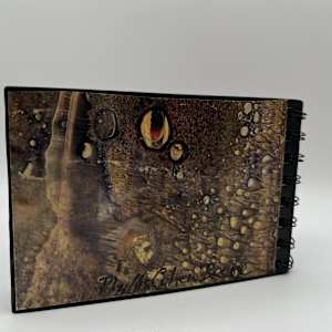 SOMEWHERE IN SPACE by Phyllis Brody 