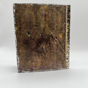 TRUST THE DREAM by Phyllis Brody 