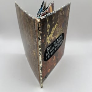 TRUST THE DREAM by Phyllis Brody 