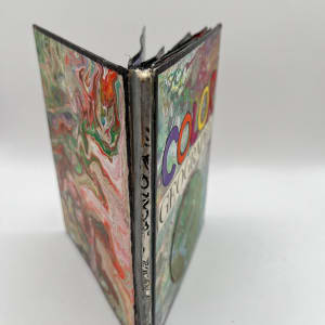 COLOR GEOGRAPHY by Phyllis Brody 