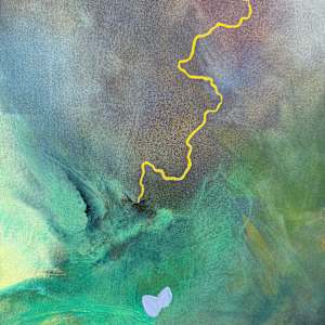 Profusion by Kate DeOssie 