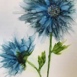 Blue Aster by Kimberly Altman