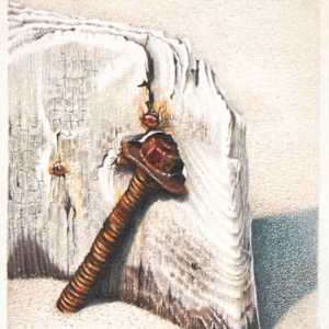 Bolted Down by Lynn Stephenson