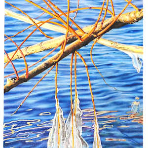 Encased by Lynn Stephenson