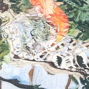 Koi Bokeh II by Lynn Stephenson