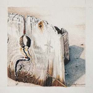 O H by Lynn Stephenson