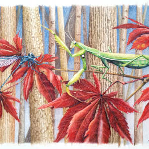 Damsel In Distress by Lynn Stephenson