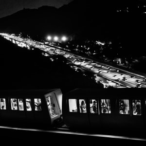 Homeward Bound by Daniel Sackheim