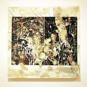 Gray Green by Mila Rossi 