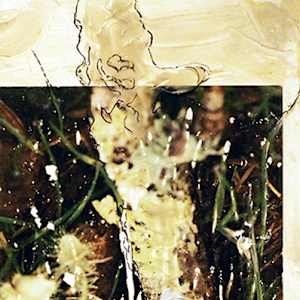 Gray Green by Mila Rossi 