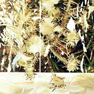 Gray Green by Mila Rossi 