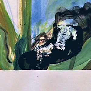 Feuilles Vert Foncé (Dark Green Leaves) by Mila Rossi 