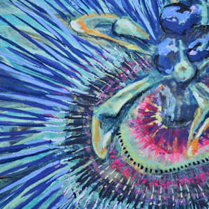 Passiflore Bleue by Mila Rossi 