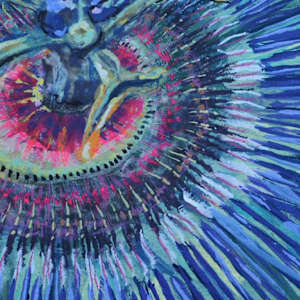 Passiflore Bleue by Mila Rossi 