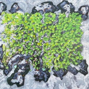 Highlands Moss by Mila Rossi 