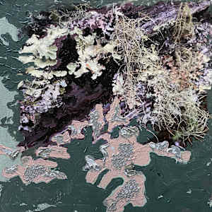 Pink Bodies by Mila Rossi 