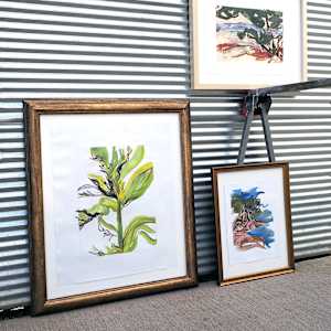 L’olivier et la Lavande (The Olive Tree and the Lavender) by Mila Rossi 