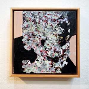 Lichen Love II by Mila Rossi  Image: Installation