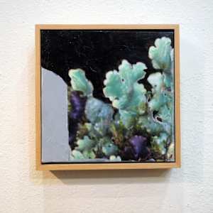 Lichen Fruiting Bodies VI by Mila Rossi  Image: Installation