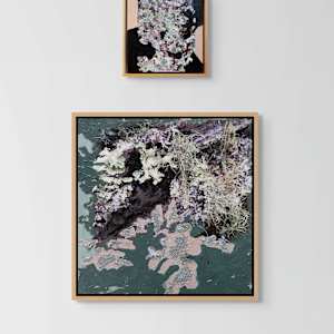 Pink Bodies by Mila Rossi 