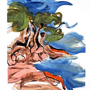 Pin Aleppo de Cassis (Aleppo Pine Tree from Cassis) by Mila Rossi 