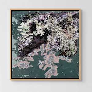 Pink Bodies by Mila Rossi 