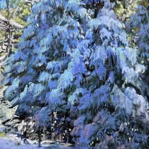 Snowladen by Jeanne Rosier Smith