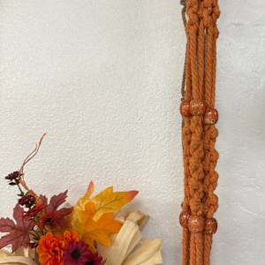 Orange Macramé Plant Hanger by Jill Hankins