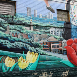 Observatory Hill by Frances Hawbaker 