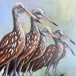 On the fence by Frances Hawbaker, Image 1.