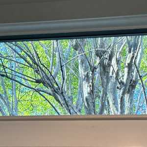 Subconscious Crepe Myrtle by Emily Murphy Brown, Image 4.