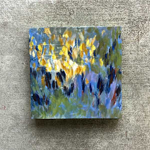 Vidi by Emily Murphy Brown 