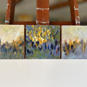 Vidi by Emily Murphy Brown 