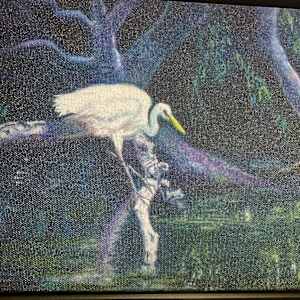 Snowy Egret by Jo Bartruff