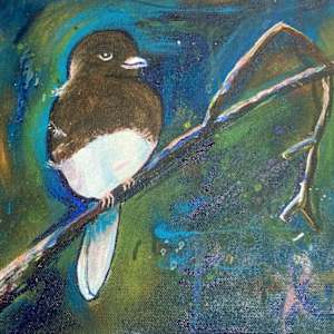 Mr Junco by Jo Bartruff