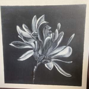 Magnolia by Irene Murphy