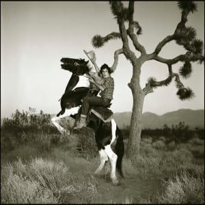 Cowboy on Rearing Horse by Frank Gargani