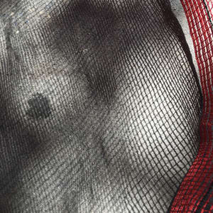 Burlesque by Terry Frishman