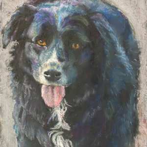 Celia's dog by Susan Penfold