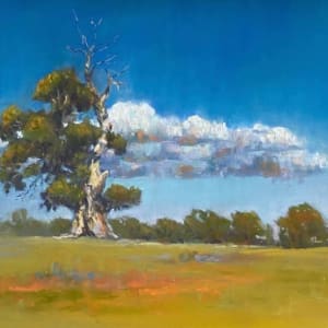 Old remnant at Murdoch Hill Winery by Susan Penfold