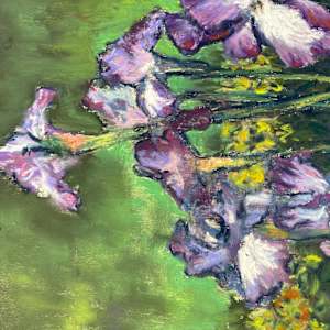 Irises, after Van Gogh by Susan 