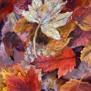 Autumn colour by Susan Penfold
