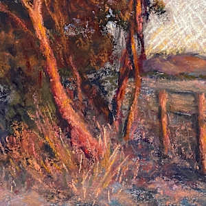 Last light, Tanunda by Susan Penfold 