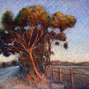 Last light, Tanunda by Susan Penfold