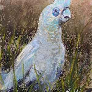 Cheeky by Susan Penfold 