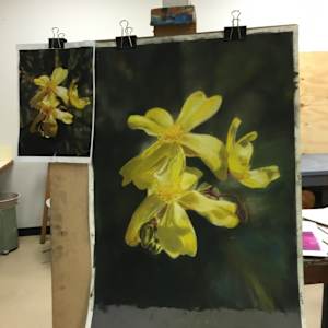 Ephemeral beauty by Susan Penfold 