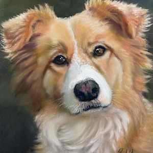 Cath's dog by Susan Penfold