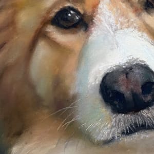 Cath's dog by Susan Penfold 