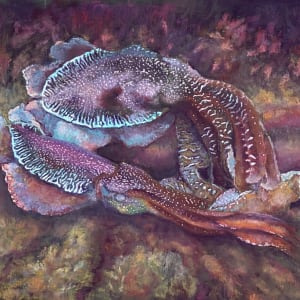 Cuttlefish Tango by Susan Penfold